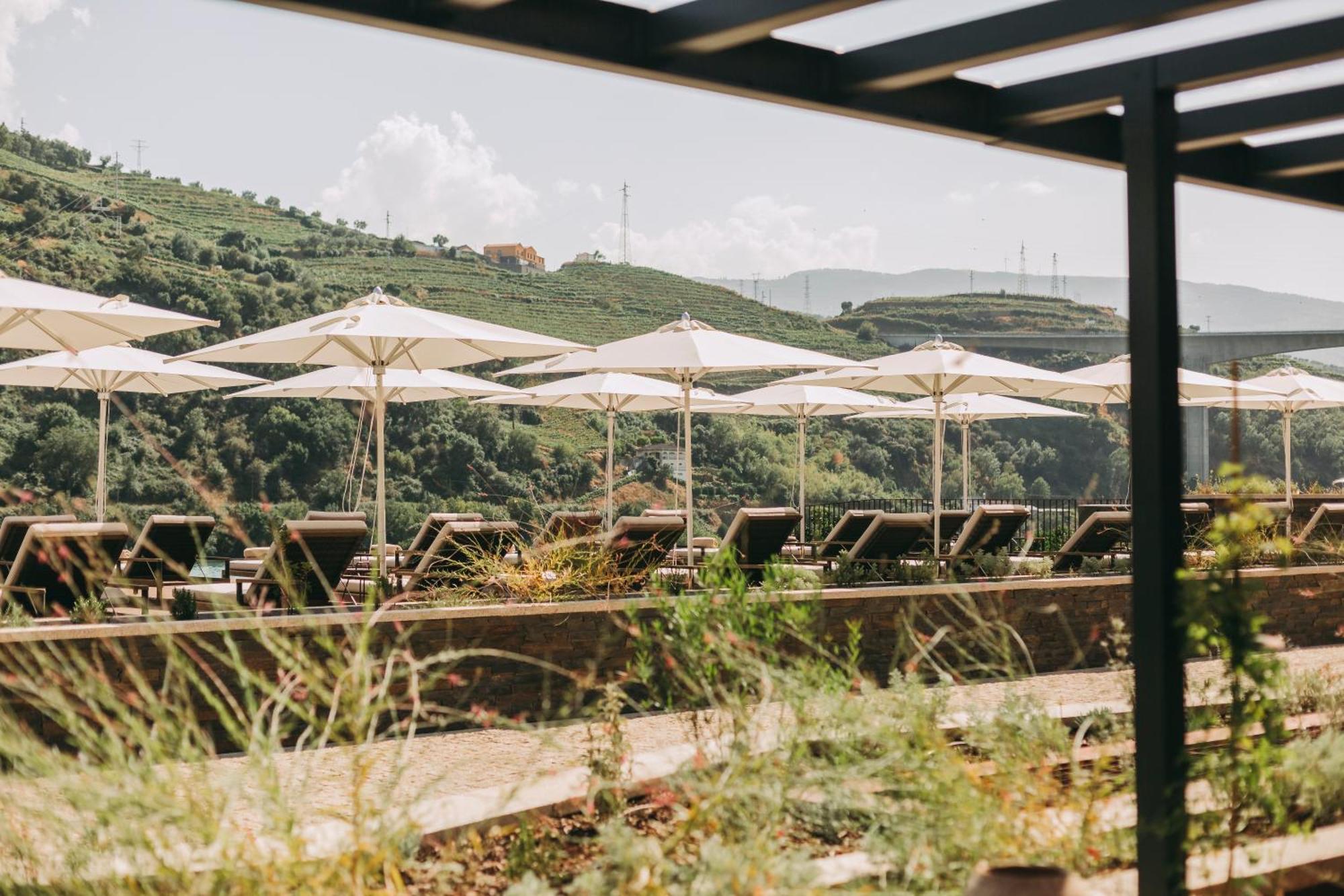 Torel Quinta Da Vacaria - Douro Valley Peso da Régua المظهر الخارجي الصورة